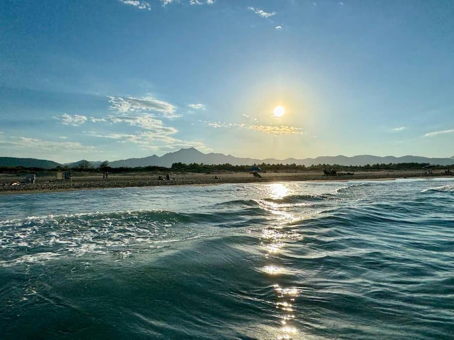 Relax En Playa De L'Ahuir Gandia Lägenhet Playa de Gandia Exteriör bild